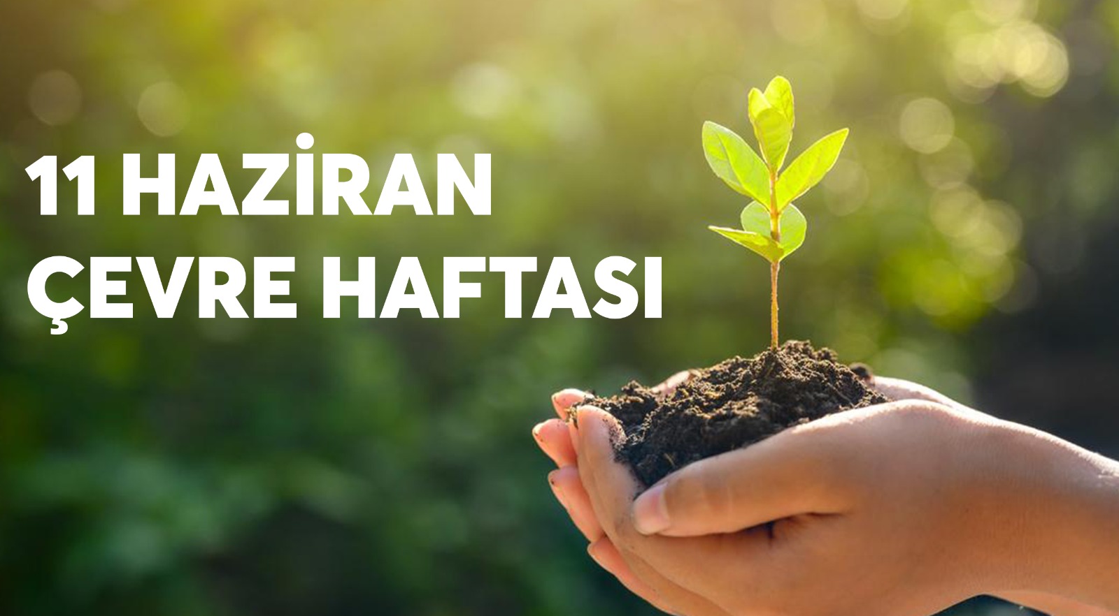       5-11 HAZİRAN ÇEVRE HAFTASI