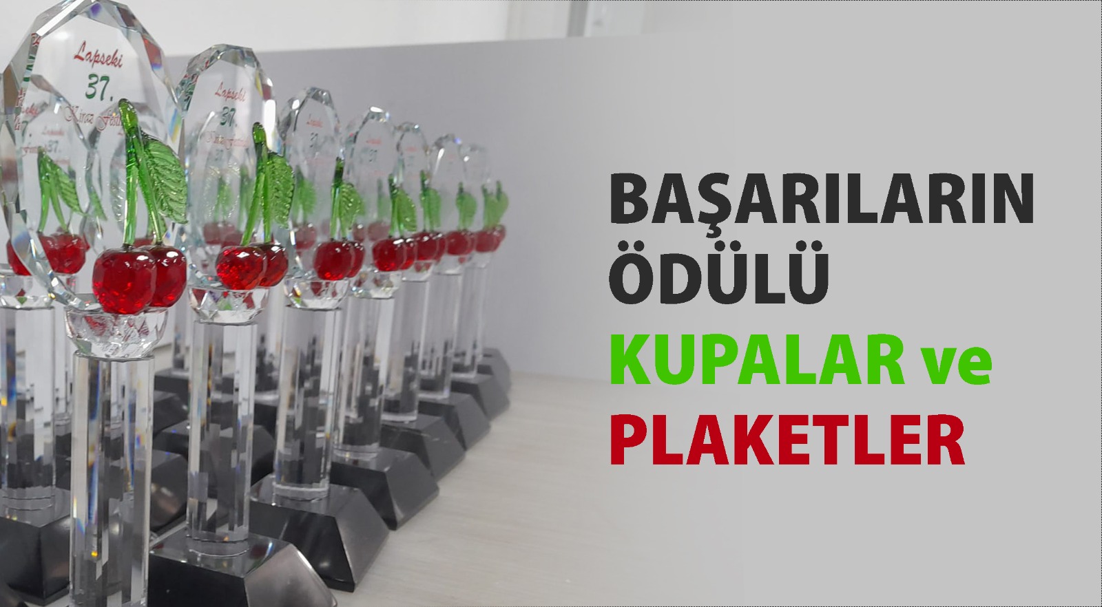 BAŞARILARIN ÖDÜLÜ KUPALAR ve PLAKETLER