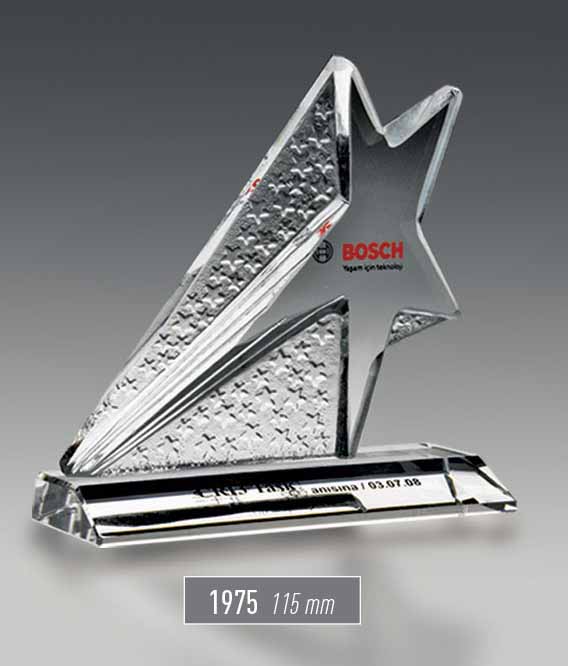 1975 - Award