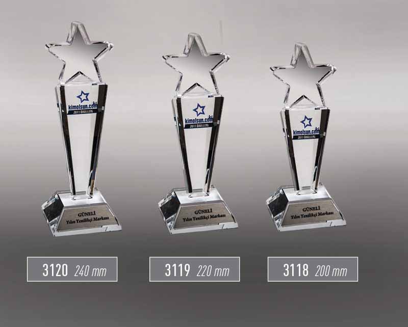 3120 - 3119 - 3118  - Award