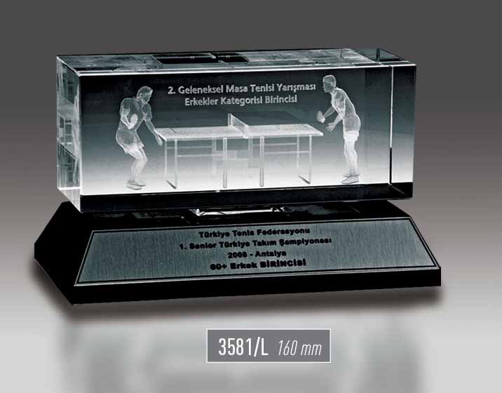 3581/L -  Sport Award