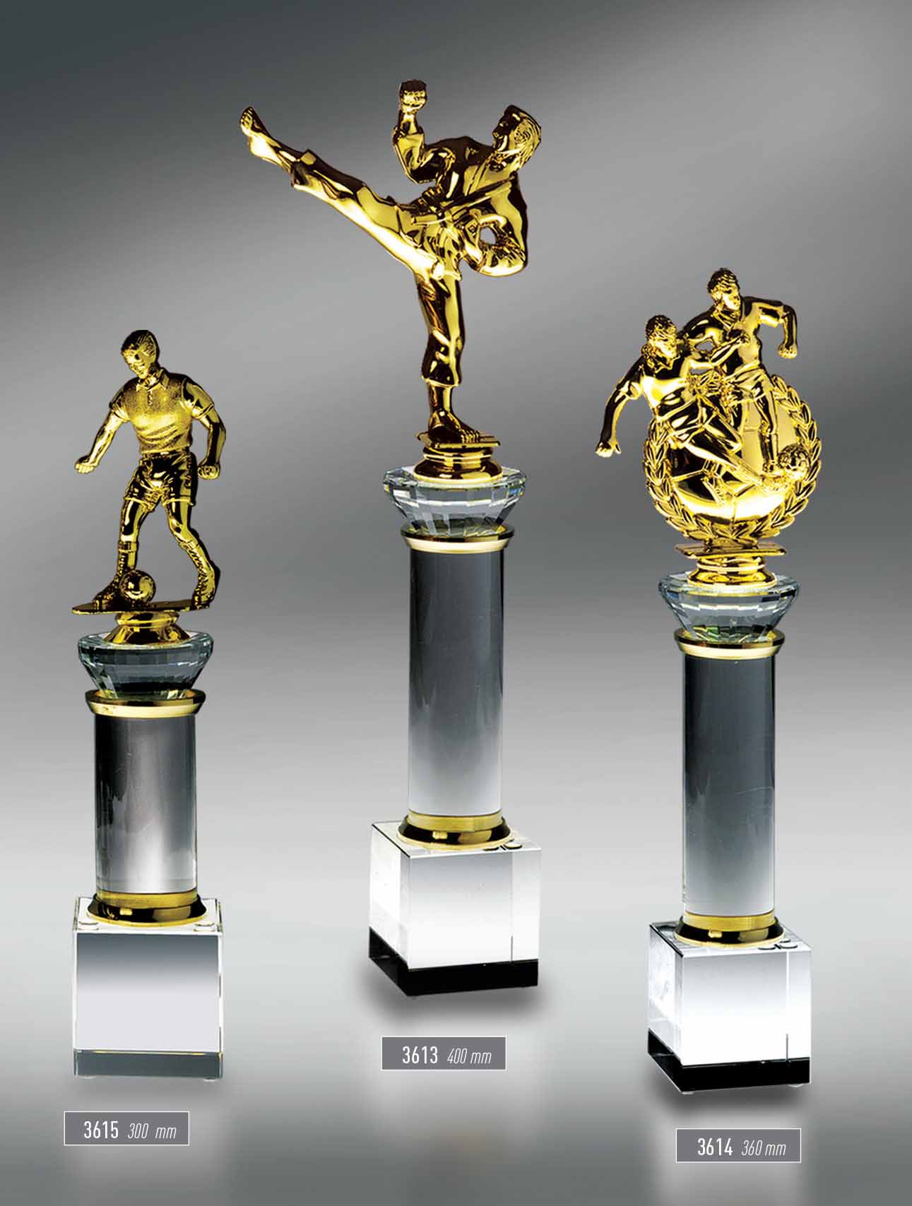 3613 - 3614 - 3615  -  Sport Award