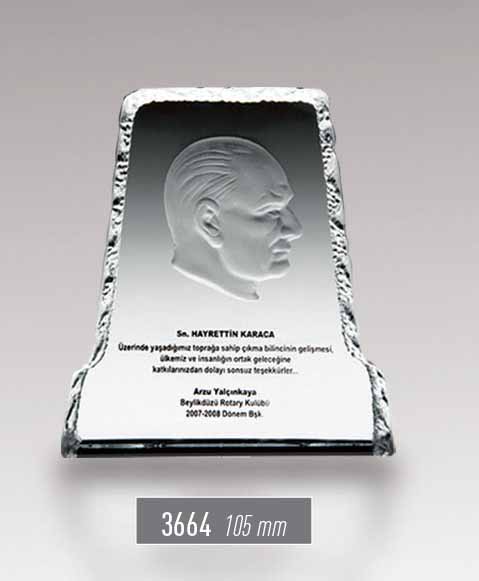 3664 - Atatürk Award