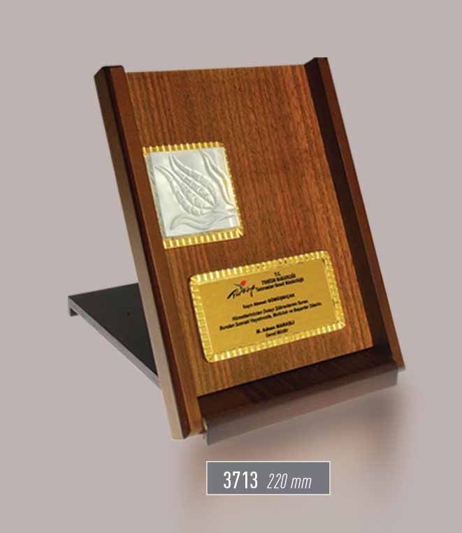 3713 - Award