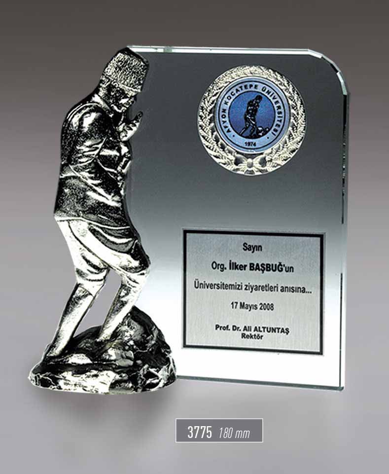 3775 - Atatürk Award