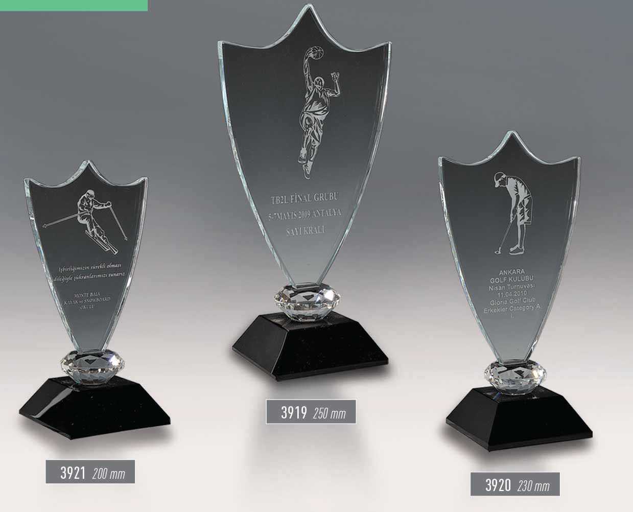 3919 - 3920 - 3921  -  Sport Award