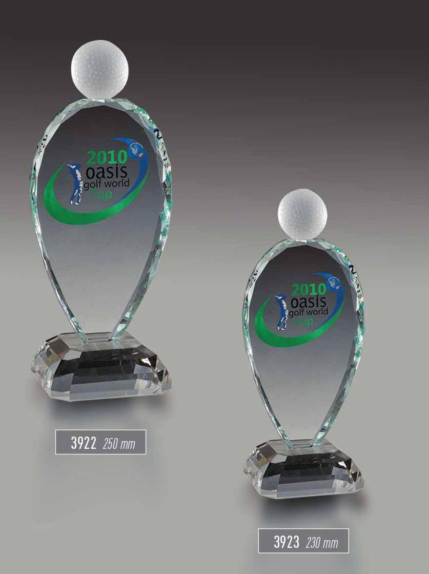 3922 - 3923 - Sport Award