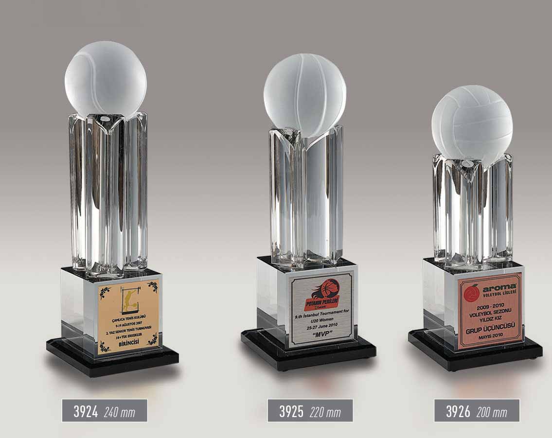 3924 - 3925 - 3926 -  Sport Award