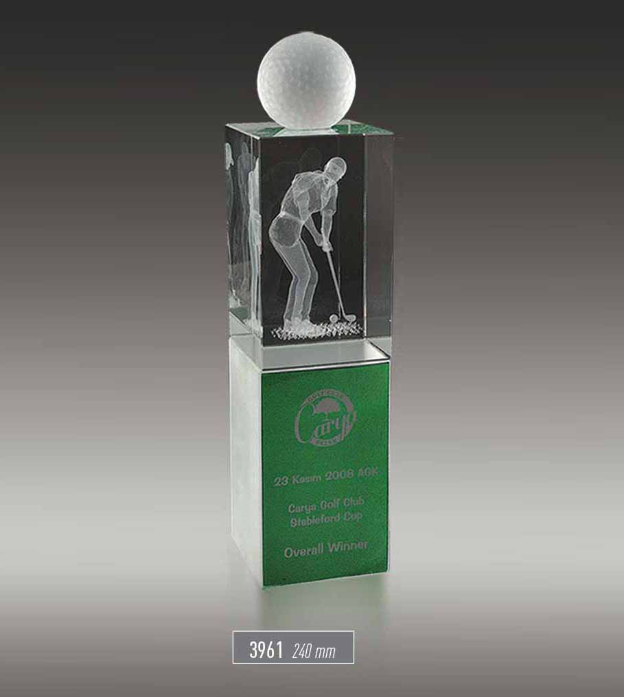 3961 - Sport Award