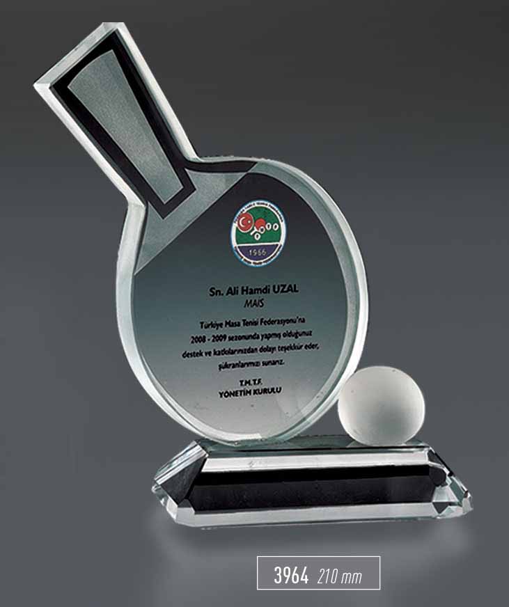 3964 - Sport Award
