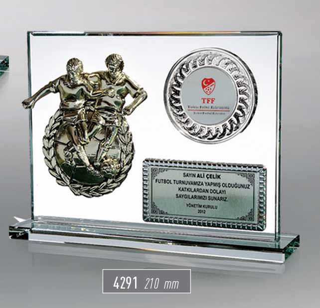4291 - Sport Award
