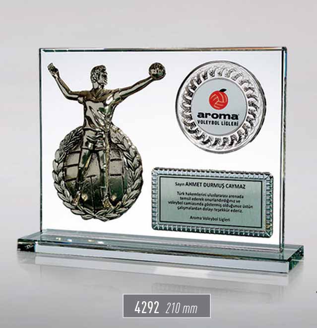 4292 - Sport Award