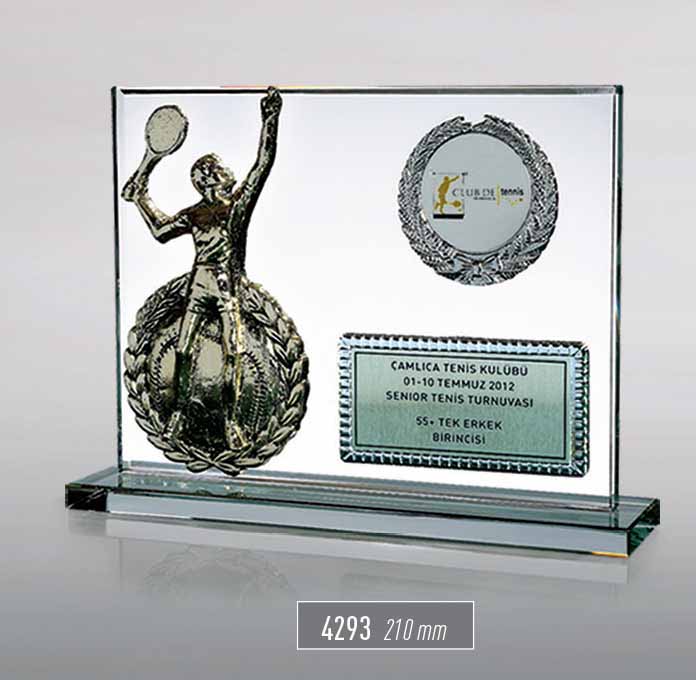 4293 - Sport Award