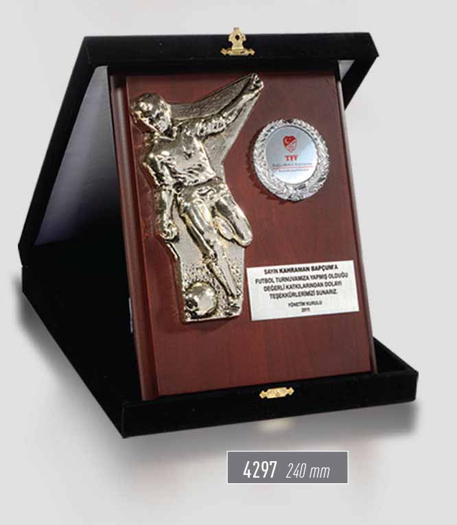 4297 - Sport Award