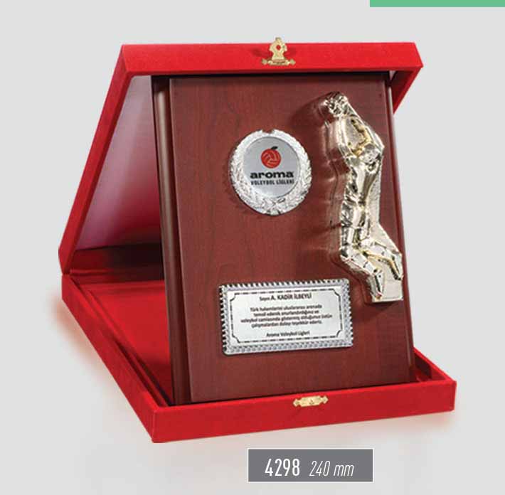 4298 - Sport Award