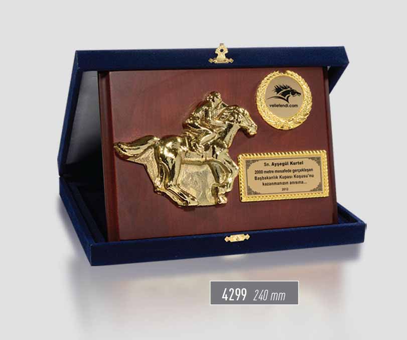 4299 - Sport Award
