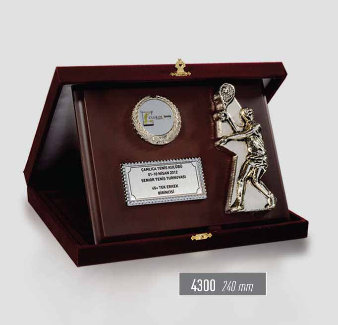 4300 - Sport Award