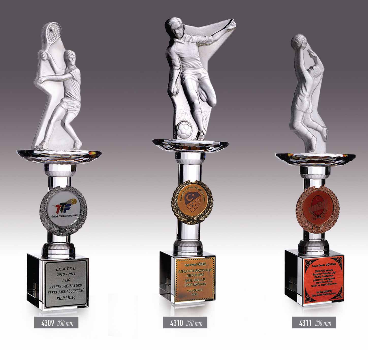 43090 - 4310 - 4311 Sport Award