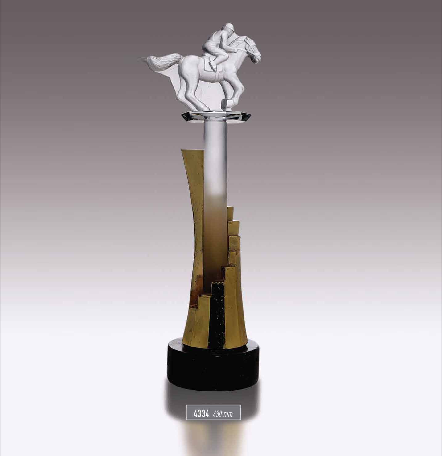 4334 - Sport Award