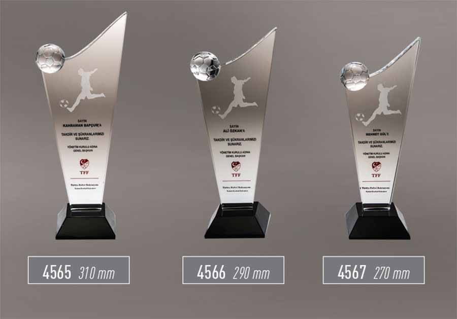 4565 - 4566 - 4567 - Sport Award