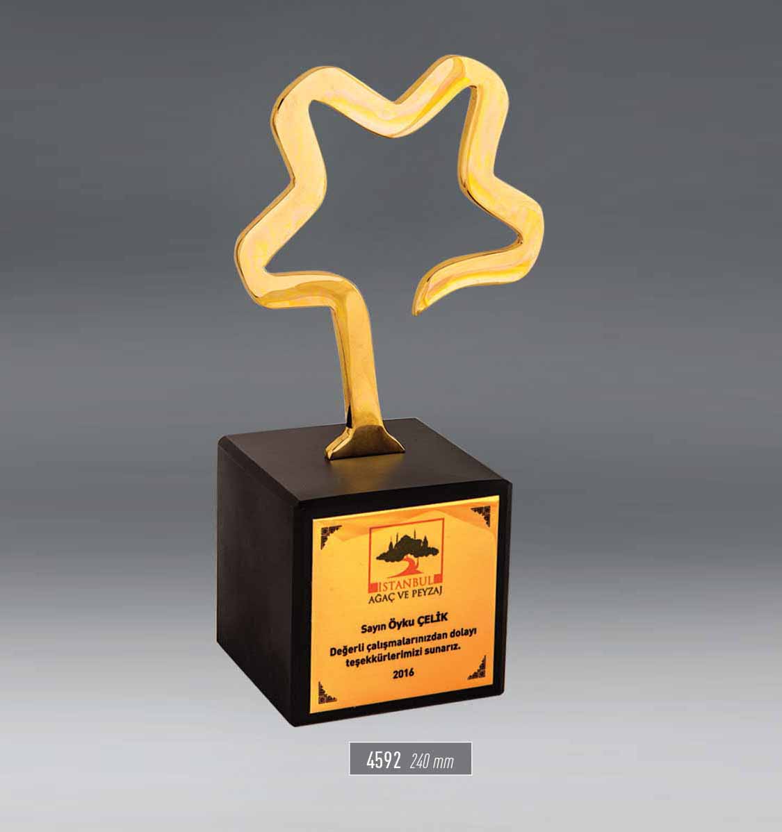 4592 - Award