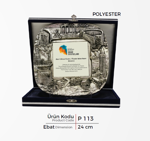 9 113 Polyester Plaquette