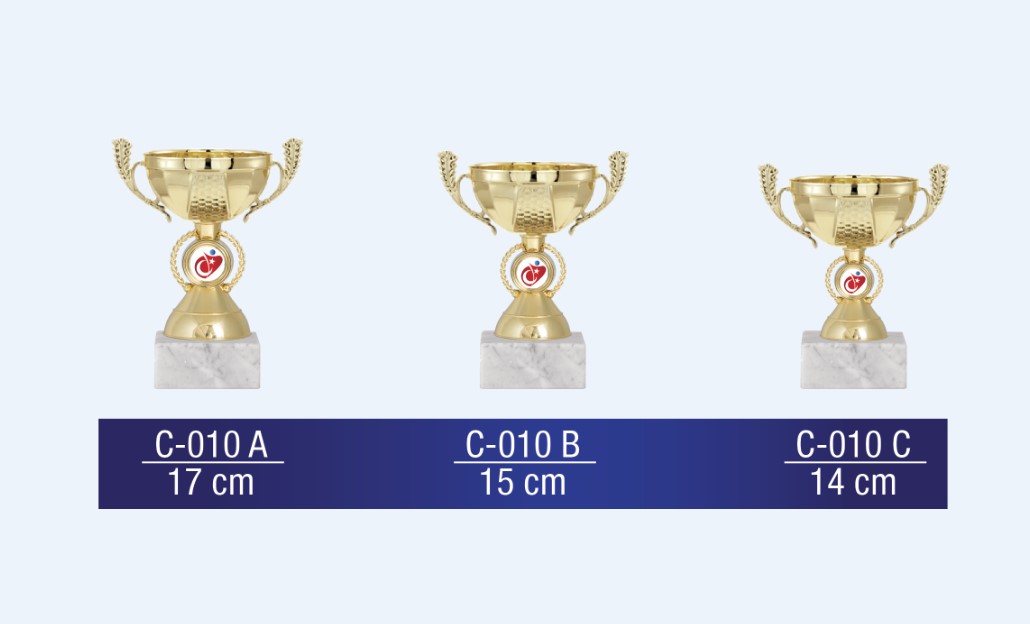 C-010 Economic Cup