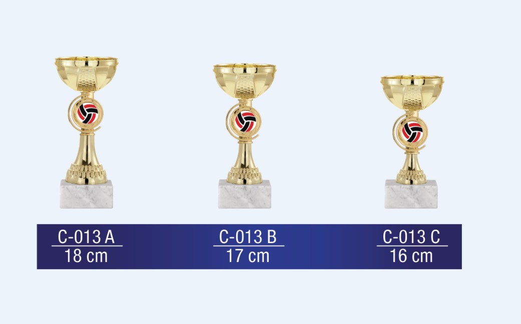 C-013 Economic Cup