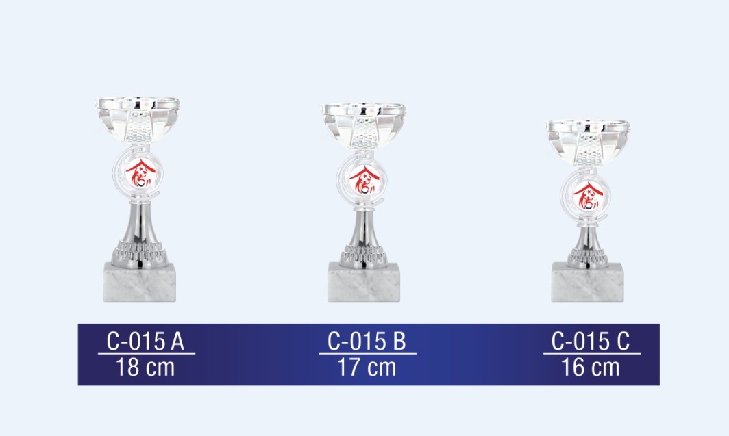 C-015 Economic Cup