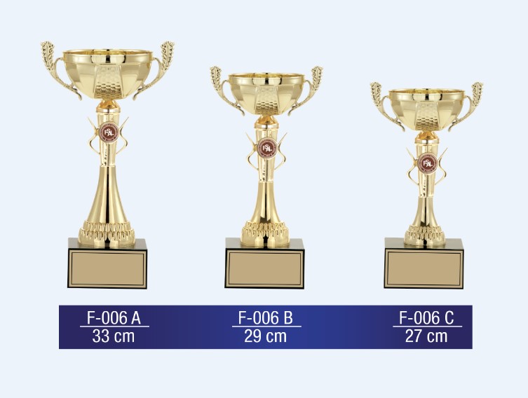 F-006 Medium Cup