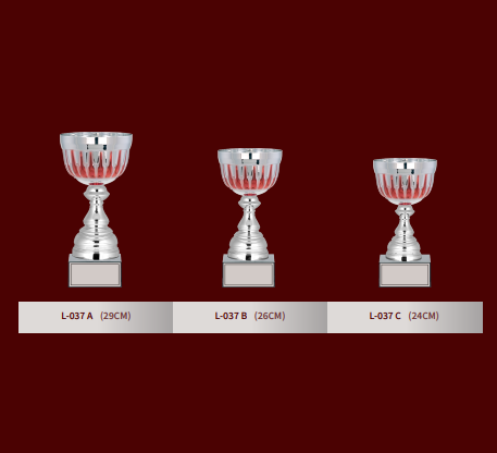 L-037 LARGE CUPS