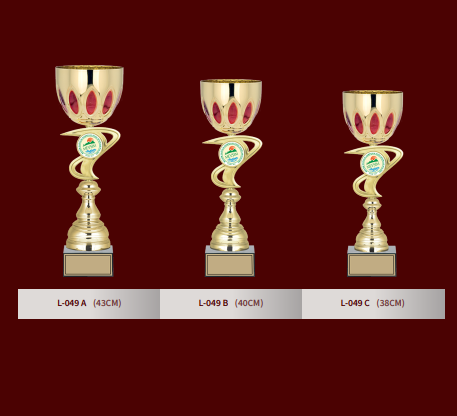 L-049 LARGE CUPS