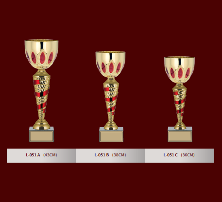 L-051 LARGE CUPS