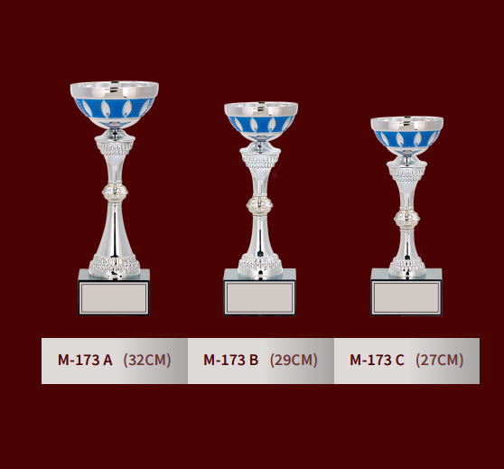M-173 MEDIUM CUPS
