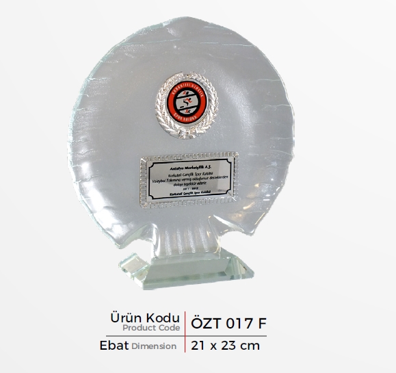 ÖZT 017 F  Glass Plaquette