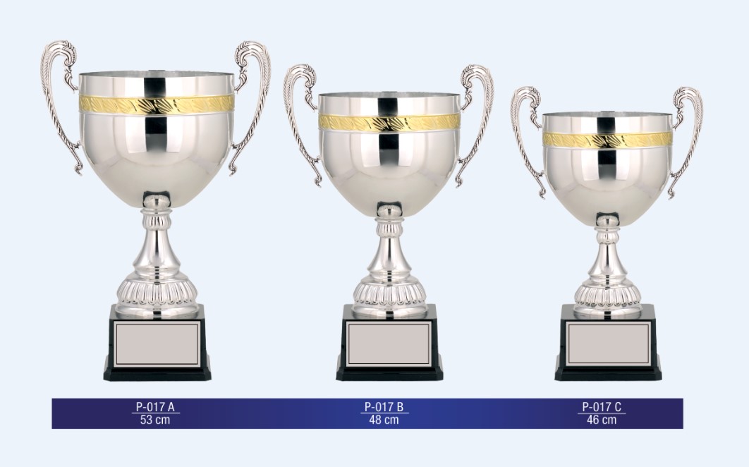 P-017 Vip Cup