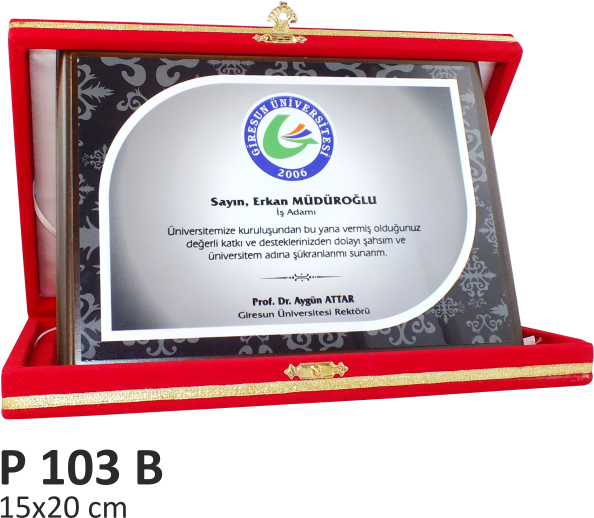 P 103 B KLASİK PLAKET 