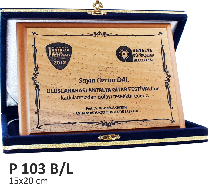 P 104 Y KLASİK PLAKET