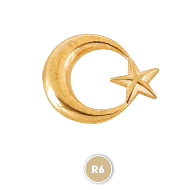 R6 GOLD BADGE