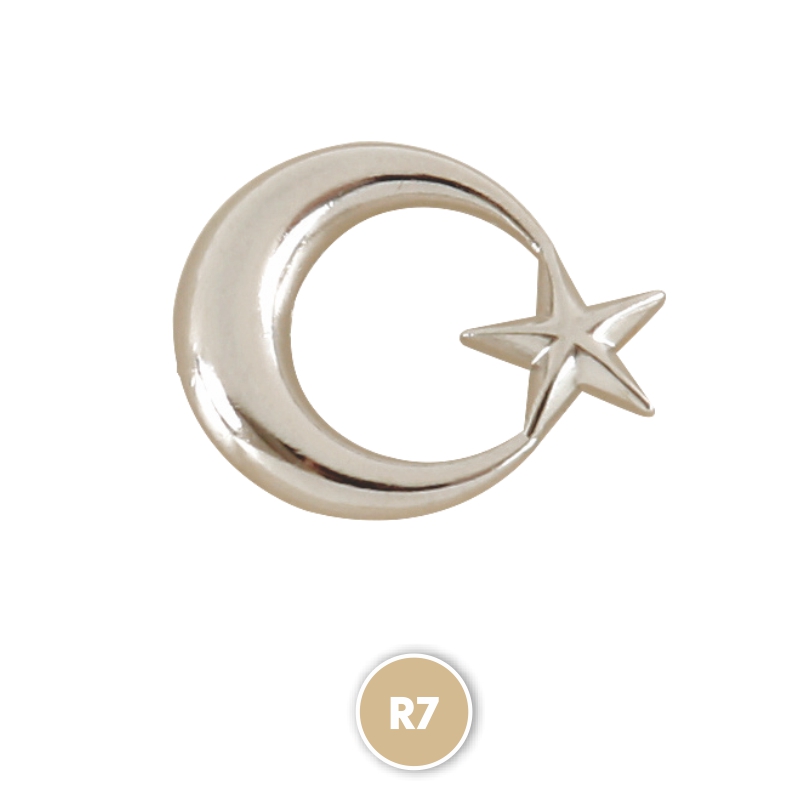 R7 SILVER BADGE