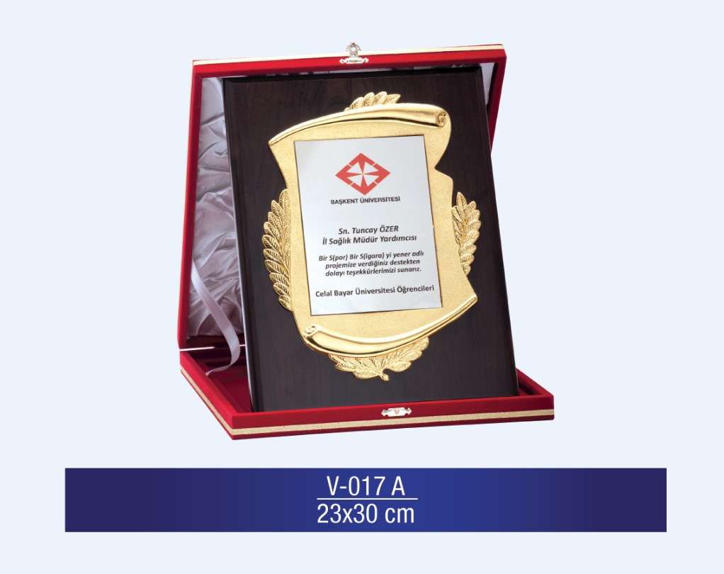 V-017 ÖZEL PLAKET 