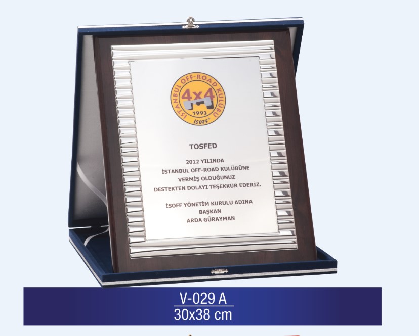 V-029 Special Plaquette